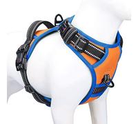 PHOEPET 2019 Arnés antitirones para Perros pequeños, Reflectante, Ajustable, con Clip Frontal, Chaleco con asa, 2 Anillos de Metal, 3 Hebillas, fácil de Poner y Quitar, Talla XS