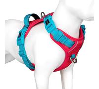 PHOEPET Arnés antitirones para Perros, Colores únicos, Reflectante, Estilo Chaleco, Ajustable, con asa Suave de adiestramiento, Clips metálicos, Color Rojo y Correas turquesas, Talla L