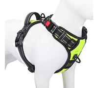 PHOEPET - Arnés antitirones para perros grandes, chaleco reflectante ajustable con asa, 2 anillas metálicas, 3 hebillas, fácil de poner y quitar, XL, verde