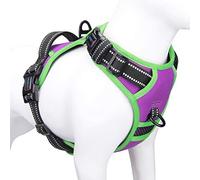 PHOEPET Arnés antitirones para perros medianos, 2019, chaleco reflectante ajustable, clip frontal y asa, 2 anillos metálicos, 3 hebillas, fácil de poner y quitar, morado, M