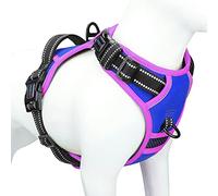 PHOEPET Arnés antitirones para Perros, Mejorado 2019, Chaleco Reflectante Ajustable, con asa de Entrenamiento, 2 Ganchos metálicos para Correa y 7 Hebillas a presión y deslizantes, Azul eléctrico, XS