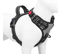PHOEPET - Arnés para Perros pequeños, 3 m, Reflectante, Ajustable, 2 Anillas de Metal, 3 Hebillas [fácil de Poner y Quitar]