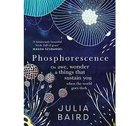 Phosphorescence: On awe, wonder and things that sustain you when the world goes dark