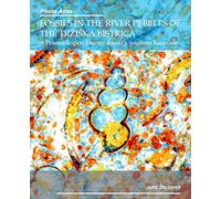 Photo Atlas of the Fossils in the River Pebbles of the Tržiška Bistrica: A Palaeontological Journey through the Southern Karavanke