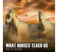 Photo Book Of Wild Horse What Horses Teach Us: Wild Horse What Horses Teach Us Picture Book For Photos With 30+ Pictures Photos, 2023 Photobook Photography Christmas Gifts For Men Women Mom Dad