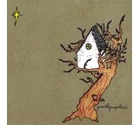 Photographers - You Can't Die In The Living Room