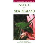 Photographic Guide To Insects Of New Zealand