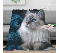 PHQAZWSXE Estampado 3D Blue-Eyed Gato Manta de Viaje Microfibra Ropa de Cama Anti-Bolitas Peludo Indoor Mascota Manta de Oficina compacta y Suave Lavable para Oficina 40x50inch(100x130cm)