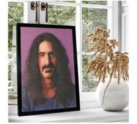 PHVRLG Poster Fotográfico De Frank Zappa Estrella De La Música Retratos E Imágenes Para La Decoración Del Hogar 50 * 70 Cm Sin Marco