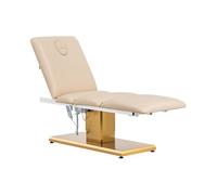 Physa Camilla de Estética Eléctrica 300 W hasta 200 kg Beis y Dorado Tapicería Sintético Tatuaje Profesional Cama de Masaje para salón de Belleza