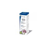 Physalis Valeriana Officinalis Extracto Hidroalcohólico Bio 100 ml