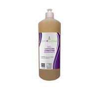 PHYSIOCEUTICALS - Gel Cavitación Reafirmante Profesional 1000ml + Tapón Dosificador - Conductor Ultrasonidos con Centella Asiática, Castaño de Indias, Cola de Caballo y Aloe Vera
