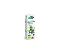 Phytobiopole Arándano 50 Ml Bio de Intersa