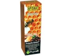 PHYTOVIT ASPINAT Propolis Green Spray 20ml, Negro, Estandar