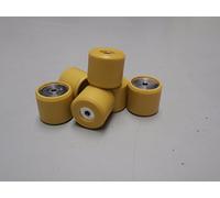 PIAGGIO Juego de rodillos variador de pesas, 19 x 17 mm, 10,0 g, 6 unidades, CM1038015