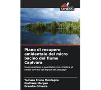 Piano di recupero ambientale del micro bacino del fiume Capivara: Studio qualitativo e quantitativo che considera gli impatti derivanti dal degrado del paesaggio