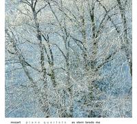 Piano Quartets: Music for You