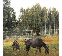 Pianos Become the Teeth - Old Pride [Vinilo]