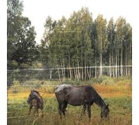 Pianos Become the Teeth - Old Pride [Vinilo]