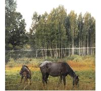 Pianos Become the Teeth Old Pride (Vinyl) (Importación USA)