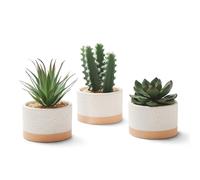 Piante succulente artificiali astridia in vasi di ceramica finto succulenti assortiti piante di cactus false per decorazioni per la casa camera da le