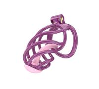 PIAOAO - Jaula para gallinas, marco de protección, versátil, A75-37 (L) 10 x 10 x 7 cm, resina interior, jaula de ejercicios, ideal para modelar tu cuerpo y hacer ejercicio