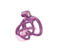 PIAOAO - Jaula para gallinas, marco de protección, versátil, A75-37 (S), ideal para modelar su cuerpo y hacer ejercicio, resina, 10 x 7 cm, interior, perfecto regalo