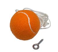 [PiBridge] Solución de asistencia para estacionamiento de garaje (bola naranja)