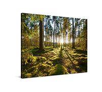 PICANOVA - Amanecer en el Bosque de Pinos 100x75cm - Cuadro sobre Lienzo - Imagen Impresión Montado sobre Marco De Madera - Cuadro Decoración Moderno para Salón o Dormitorio - Colección Bosque