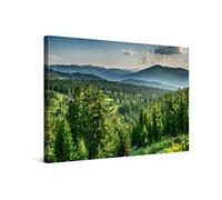 PICANOVA - Atardecer en el Bosque de Cedros 120x80cm - Cuadro sobre Lienzo - Imagen Impresión Montado sobre Marco De Madera - Cuadro Decoración Moderno para Salón o Dormitorio - Colección Bosque