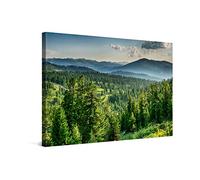 PICANOVA - Atardecer en el Bosque de Cedros 60x40cm - Cuadro sobre Lienzo - Imagen Impresión Montado sobre Marco De Madera - Cuadro Decoración Moderno para Salón o Dormitorio - Colección Bosque