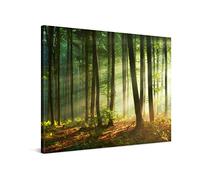 PICANOVA - Hermoso Amanecer de la Mañana 100x75cm - Cuadro sobre Lienzo - Imagen Impresión Montado sobre Marco De Madera - Cuadro Decoración Moderno para Salón o Dormitorio - Colección Bosque