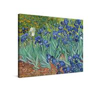 PICANOVA - Vincent Van Gogh Irises 40x30cm - Cuadro sobre Lienzo - Impresión En Lienzo Montado sobre Marco De Madera (2cm) - Disponible En Varios Tamaños