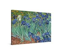 PICANOVA - Vincent Van Gogh Irises 60x40cm - Cuadro sobre Lienzo - Impresión En Lienzo Montado sobre Marco De Madera (2cm) - Disponible En Varios Tamaños
