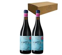 Pícaro del Águila Tinto - Ideal para Maridar con Carne y Comida Mediterránea - Pack 2 Botellas 75cl