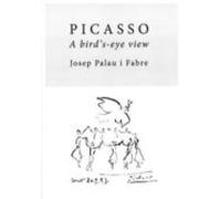 Picasso A Bird S-eye View (ingles)
