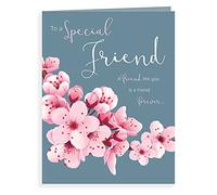 Piccadilly Greetings Group Ltd Tarjeta de felicitación de cumpleaños para amigos especiales, diseño de Koko Designs, K70021, color rosa, rojo y azul (20,3 x 15,2 cm)