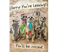 Piccadilly Greetings Tarjeta grande moderna de 30,5 x 22,8 cm