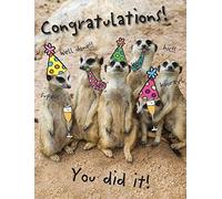 Piccadilly Greetings Tarjeta humorística para felicitaciones - 20,3 x 15,2 cm, beige, marrón, amarillo y negro