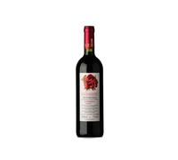 Picchioni Buttafuoco Solinghino 2023