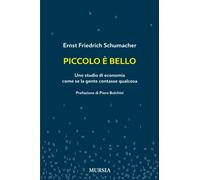 Piccolo è bello: Uno studio di economia come se la gente contasse qualcosa (Mondo Migliore)