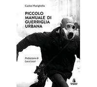 Piccolo manuale di guerriglia urbana (Incursioni)