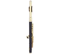 Piccolo profesional en do, diseño ergonómico con acabado dorado y estuche acolchado; incluye kit de grasa para corcho y accesorios esenciales para principiantes y expertos.