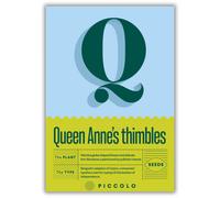 Piccolo Seeds Q - Queen Anne’s thimbles - Vogeläuglein - 1 paq.