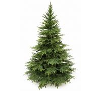 Picea del Cáucaso artificial 220 cm PE+PVC con soporte metálico