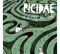 Picidae - A Stray Labyrinth [Vinilo]