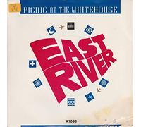 PICNIC AT THE WHITEHOUSE - SUCCESS AND EAST RIVER 7 INCH (7" VINYL 45) UK PORTRAIT 1987