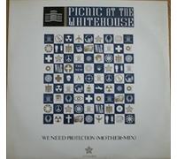 Picnic At The Whitehouse - We Need Protection (Mother Mix) - Portrait - QTX 6783