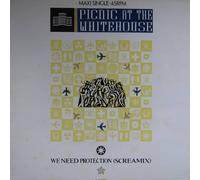 Picnic At The Whitehouse - We Need Protection (Screamix) - Portrait - PRTA 12.6783, Portrait - A 12.6783
