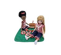 Picnic in The Park Multipack